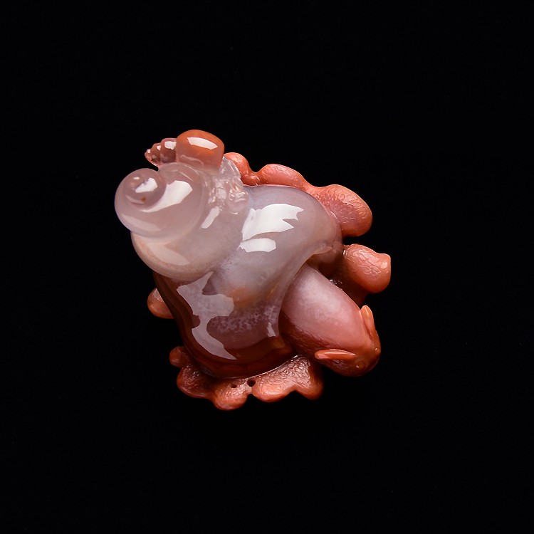 ţ Ʒ-